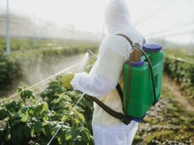 Pesticide Exposure Raises Parkinson's Risk in Vulnerable Individuals. Credit | iStockphoto