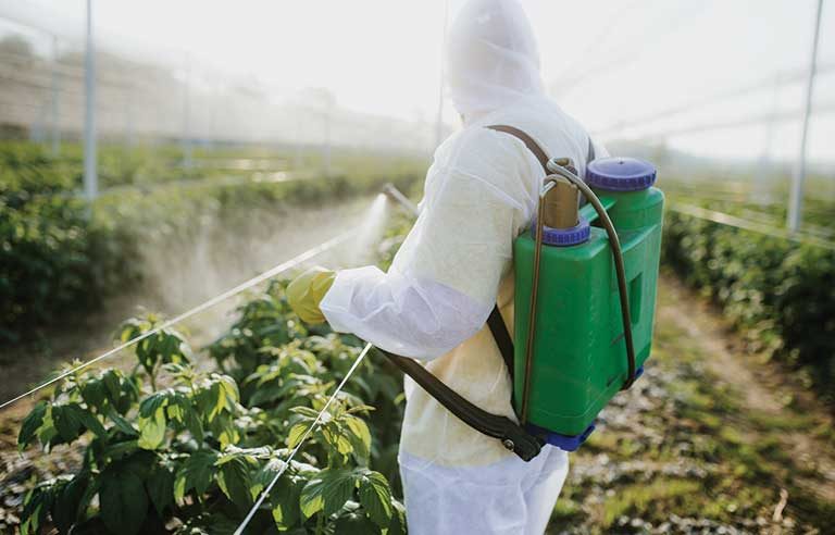 Pesticide Exposure Raises Parkinson's Risk in Vulnerable Individuals. Credit | iStockphoto